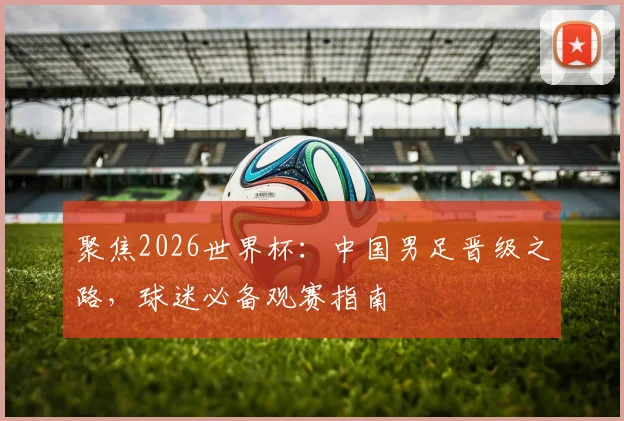 聚焦2026世界杯：中国男足晋级之路，球迷必备观赛指南