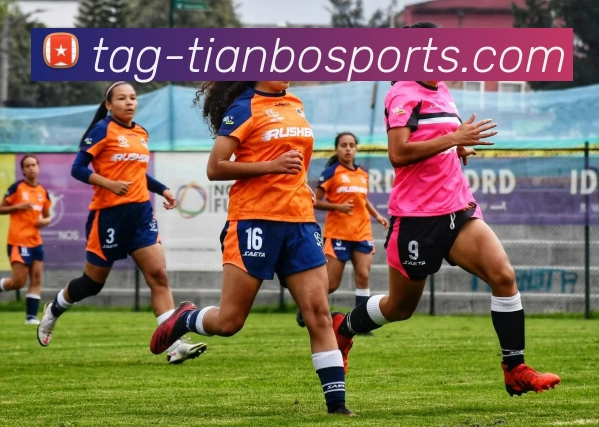 天博体育APP 高清赛事图